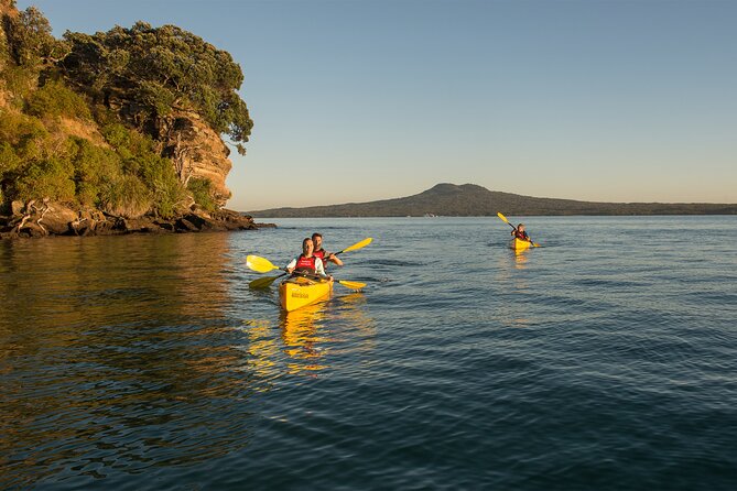 Day sea kayak tour Rangitoto Island - Key points to know before booking