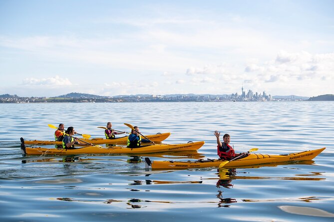 Day sea kayak tour Rangitoto Island - Weather, conservation, and practical preparation