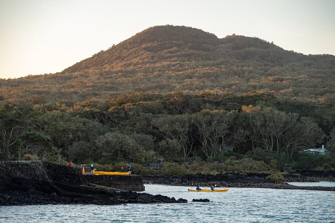 Day sea kayak tour Rangitoto Island - Should you book the Rangitoto kayak tour?