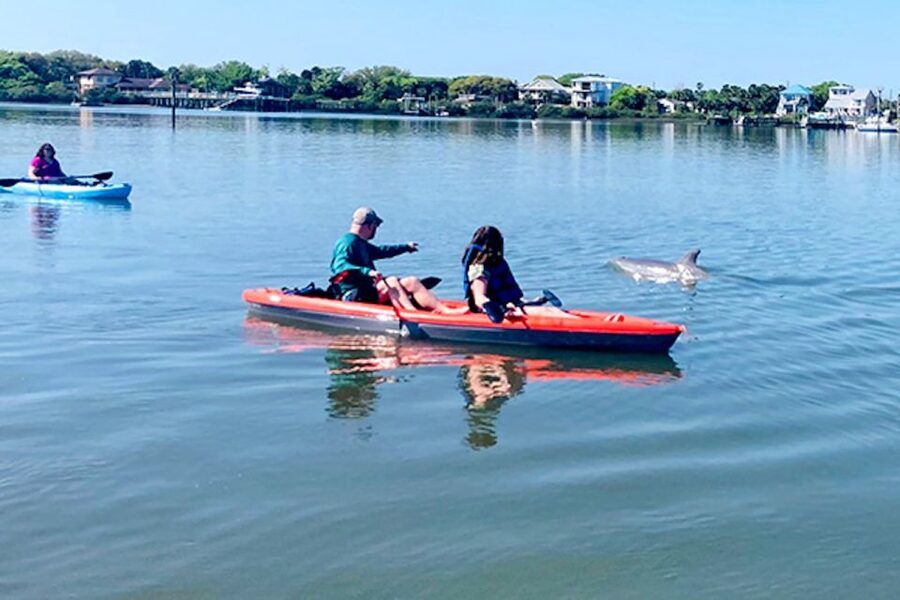 Daytona Beach: Guided Kayaking or Standup Paddling Tour - Starting on Shore and Learning the Basics