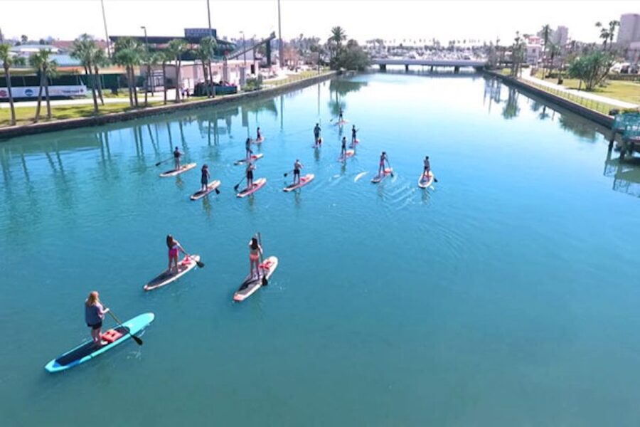 Daytona Beach: Guided Kayaking or Standup Paddling Tour - Who Should Book This Daytona Paddle