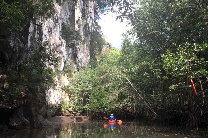 Deep Mangrove and Canyon Kayak Tour in Krabi - Why this kayaking route feels different from a beach trip