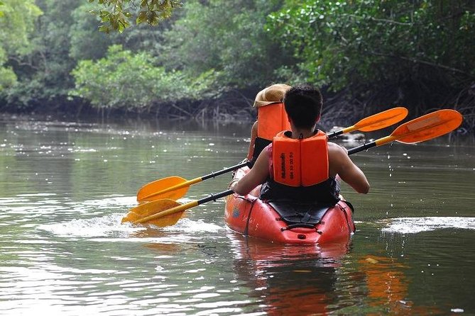 Deep Mangrove and Canyon Kayak Tour in Krabi - Entering the mangrove channels