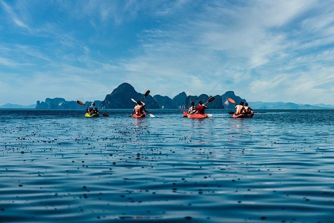 Deep Mangrove and Canyon Kayak Tour in Krabi - The guide can make or break the morning