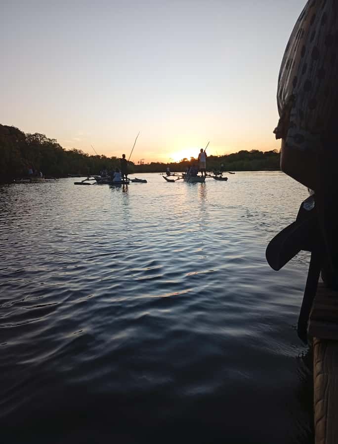 Diani Beach: Kongo River Sunset Experience in a canoe - Mangroves, birds, and local stories