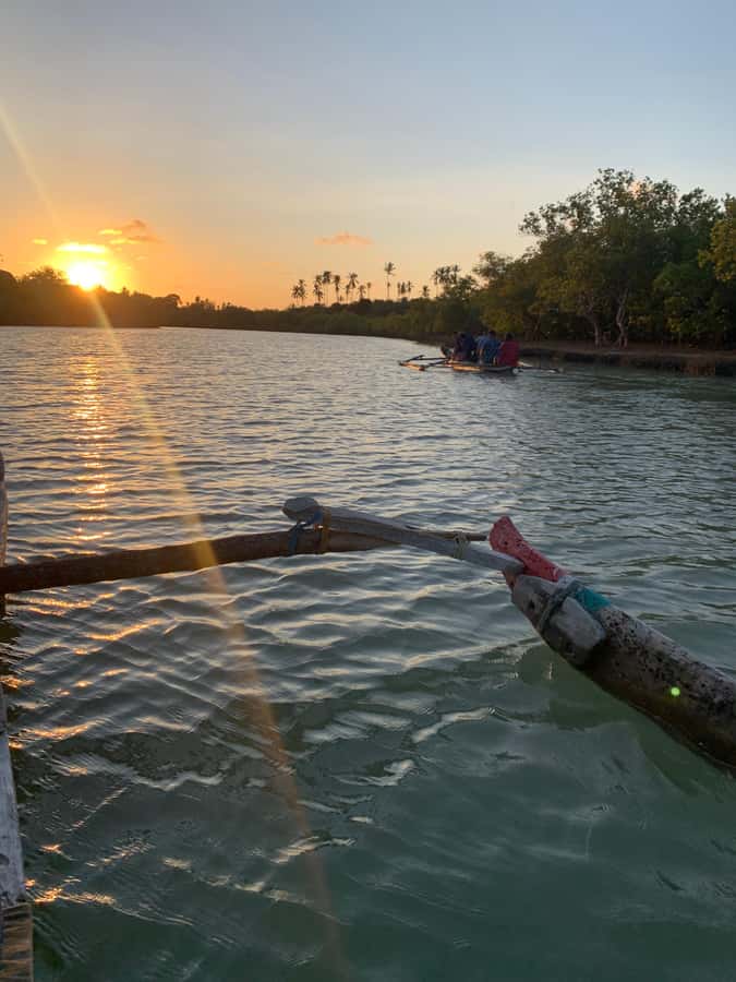 Diani: Sunset Canoe Tour along the River with Mangroves - Paddling through the Kongo River mangroves