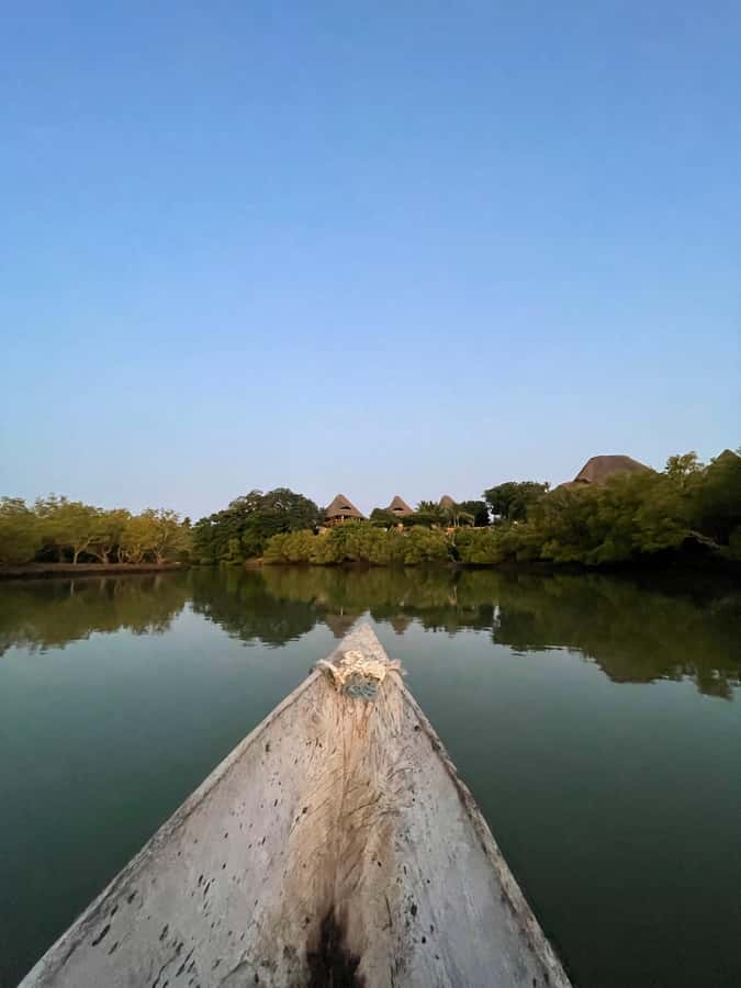 Diani: Sunset Canoe Tour along the River with Mangroves - The final 30 minutes: sunset over the mangroves