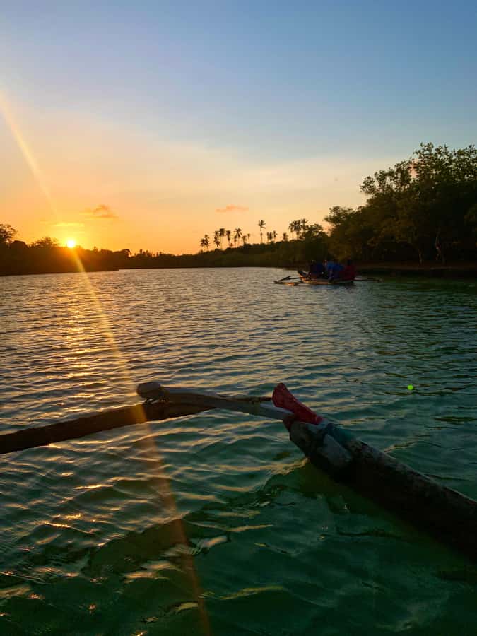 Diani: Sunset Canoe Tour along the River with Mangroves - What the $28 price includes