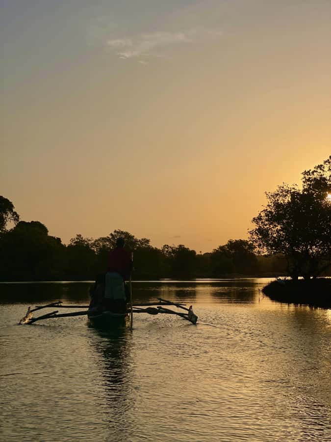 Diani: Sunset Canoe Tour along the River with Mangroves - Meeting Omari at Kongo Mosque