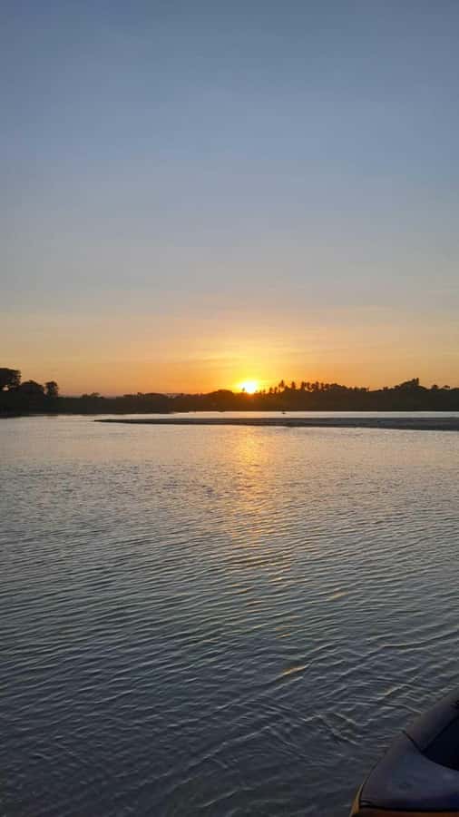 Diani: Sunset Cruise along Kongo River on Wooden Canoe boat - Mangroves, Birds, and the Quiet Part of the Trip