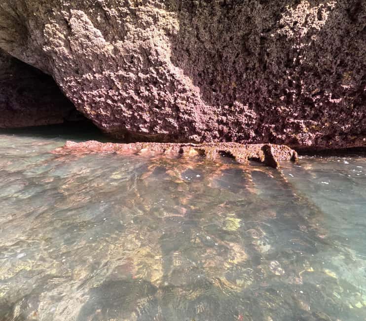Discover Benagil Caves on a Guided Paddle-boarding Tour - Turtle Cave, Pirate Cave, and smaller coastal stops