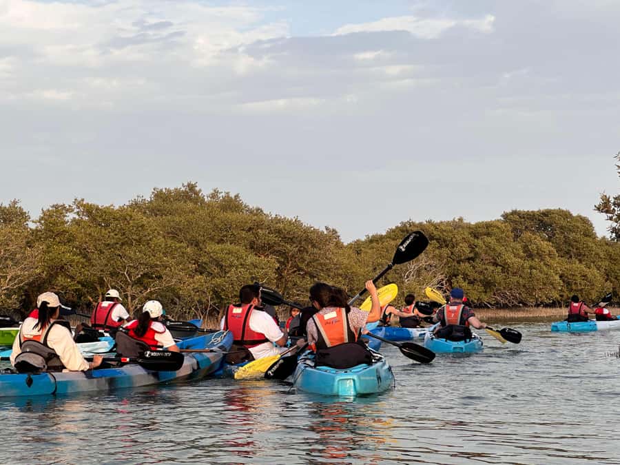 Discover Purple Island | Guided Mangrove Kayaking Experience - The tide can change the whole experience