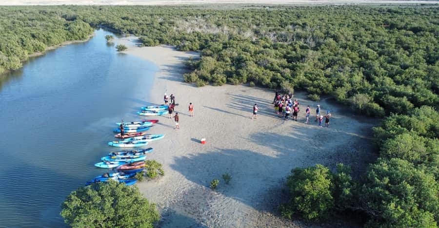 Discover Purple Island | Guided Mangrove Kayaking Experience - Purple Island break and photo time