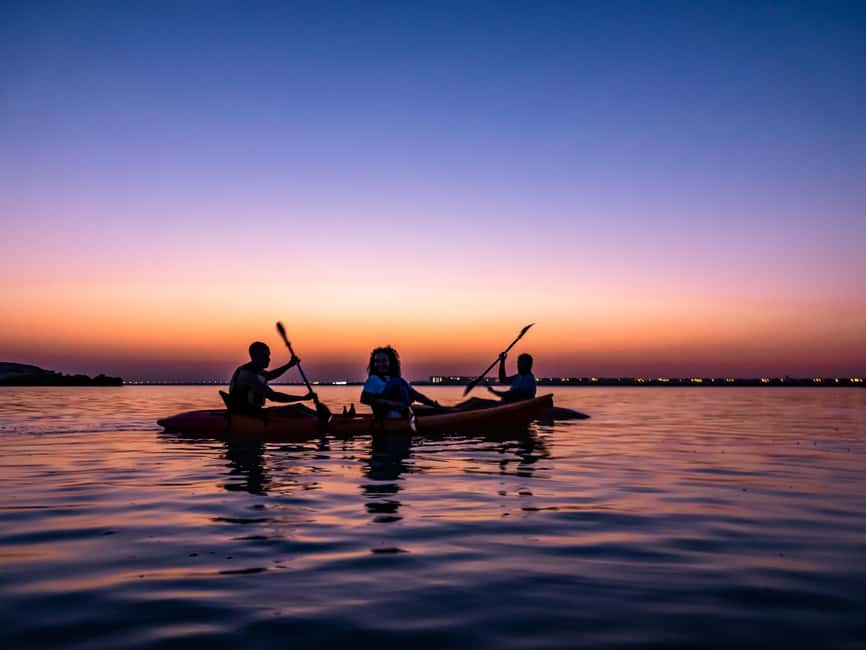 Doha: Private Purple Island Mangroves Kayaking Adventure - Why Qatar’s mangroves are worth the drive