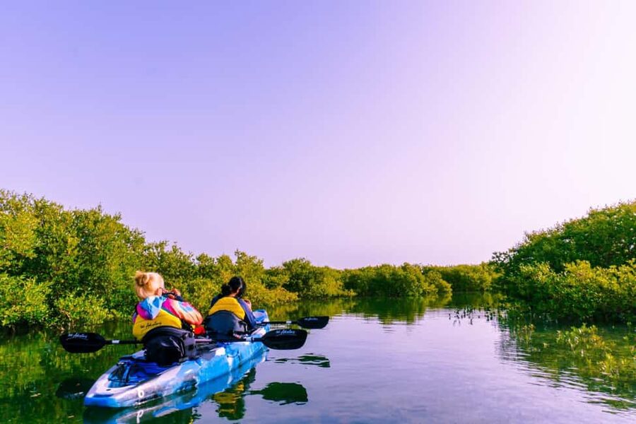 Doha: Private Purple Island Mangroves Kayaking Adventure - The 45-minute ride from Doha to Al Khor
