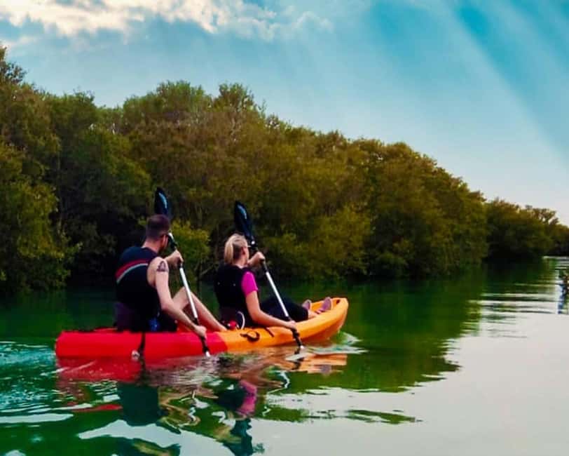 Doha: Private Purple Island Mangroves Kayaking Adventure - Birdwatching and the small life around the roots