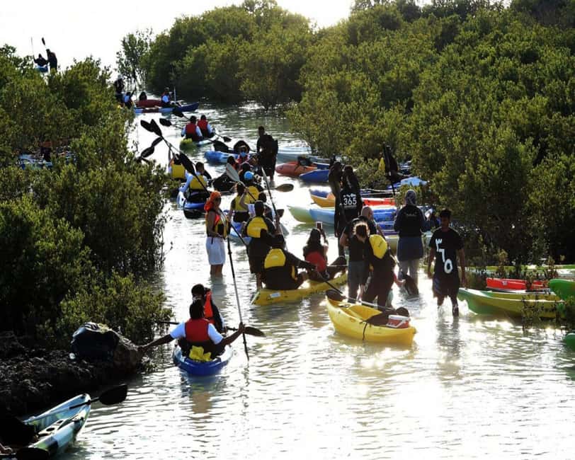 Doha: Private Purple Island Mangroves Kayaking Adventure - Is $119 per person a fair price?
