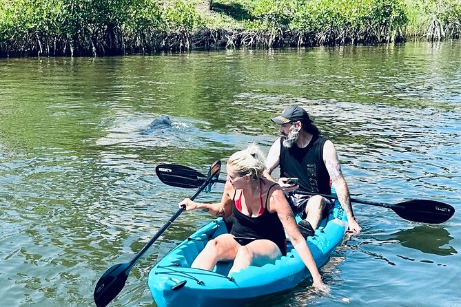 Dolphin and Manatee Kayak and SUP Adventure Tour of Cocoa Beach - Kayak or stand-up paddleboard?