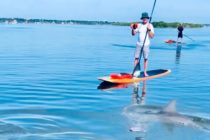 Dolphin and Manatee Kayak and SUP Adventure Tour of Cocoa Beach - The Thousand Islands after the first 90 minutes