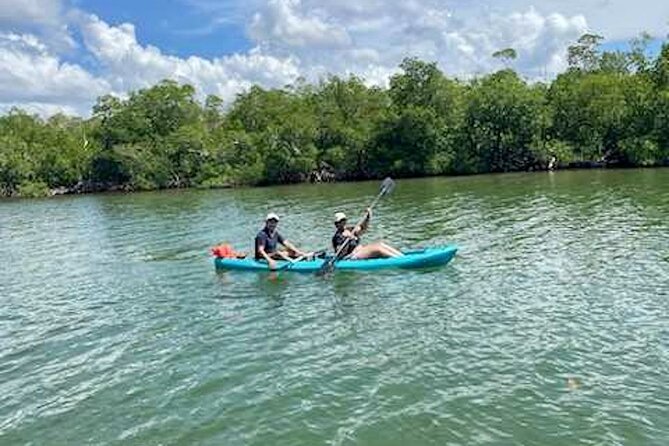 Dolphin and Manatee Kayak Tour of Daytona Beach - Wildlife watching without false promises