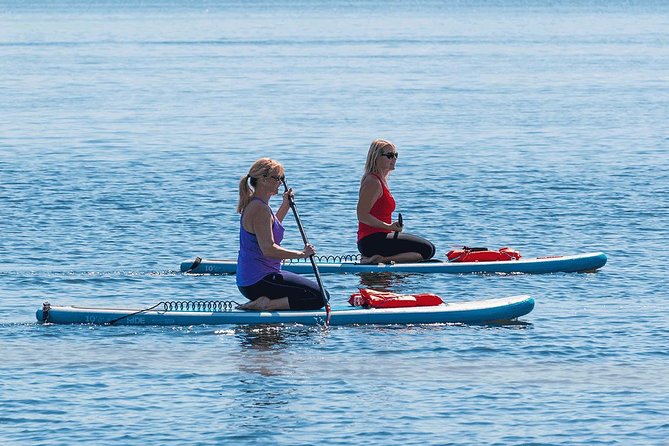 Dolphin and Manatee Stand Up Paddleboard Tour in Daytona Beach - Around the Island and Under Seven Bridges