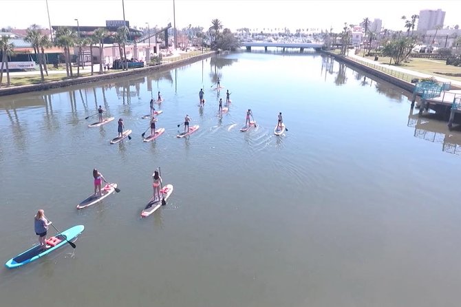 Dolphin and Manatee Stand Up Paddleboard Tour in Daytona Beach - The Guide Makes the Difference