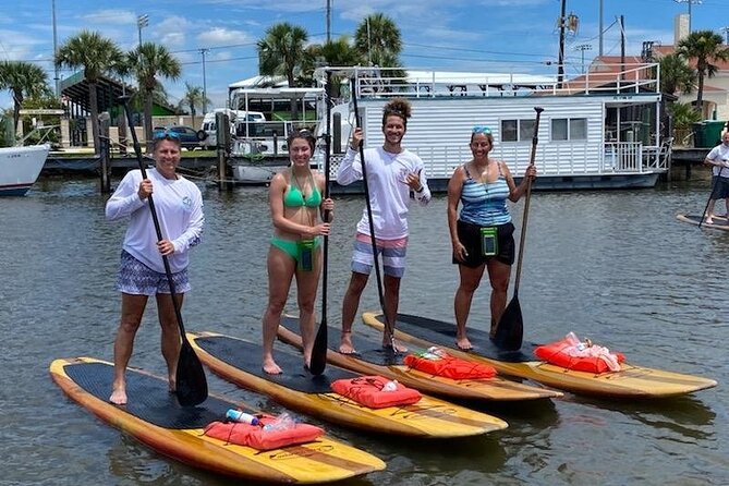 Dolphin and Manatee Stand Up Paddleboard Tour in Daytona Beach - My Verdict on the Daytona Beach Paddleboard Tour