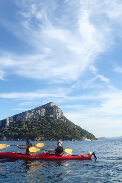 Dolphin Kayak Safari at Sunset at Golfo Aranci - Key points to know before you paddle
