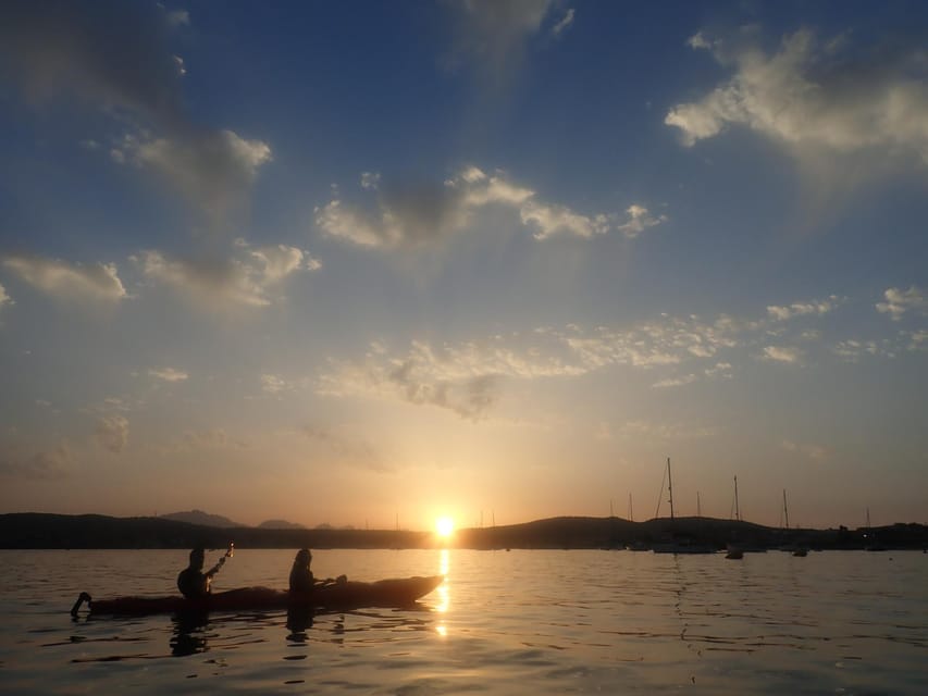 Dolphin Kayak Safari at Sunset at Golfo Aranci - Snorkeling near the coast