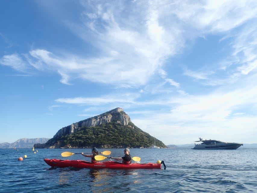 Dolphin Kayak Safari at Sunset at Golfo Aranci - What the $62 price really covers