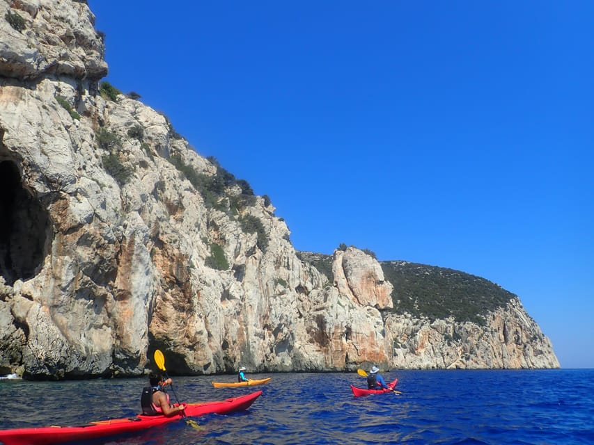 Dolphin Kayak Safari at Sunset at Golfo Aranci - The family and beginner question
