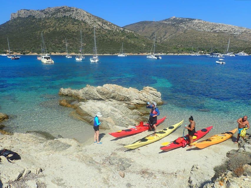 Dolphin Kayak Safari at Sunset at Golfo Aranci - What recent outings reveal about the guide