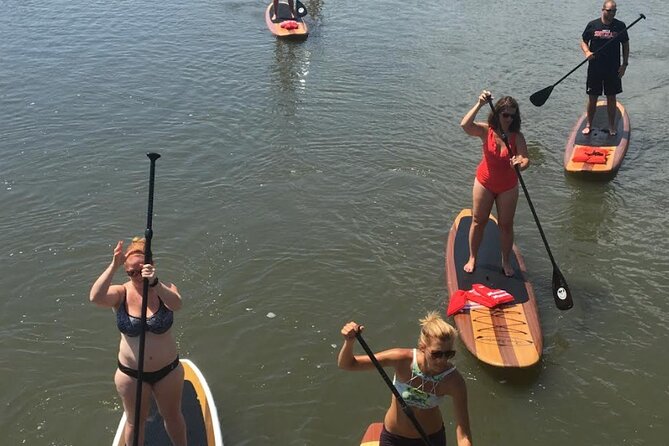 Dolphin, Manatee and SeaTurtle SUP Adventure Tour of St Augustine - Wildlife sightings, with realistic expectations
