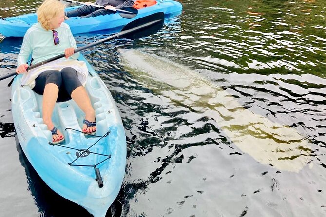 Dolphin, Manatee and SeaTurtle SUP Adventure Tour of St Augustine - The guides are the heart of the experience
