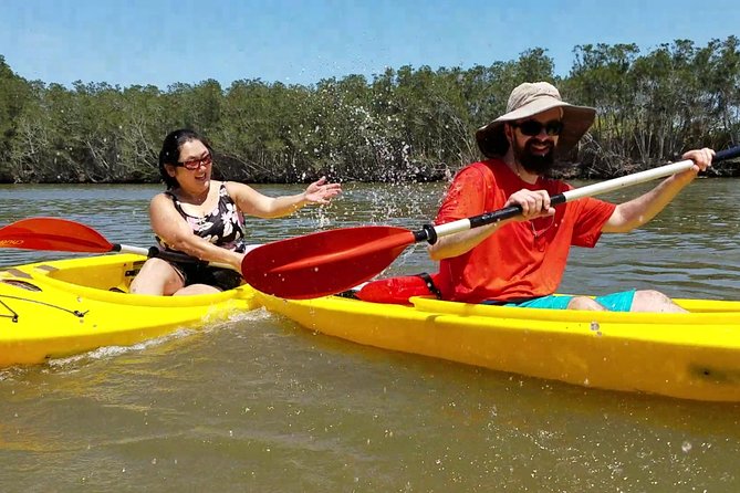 Dolphin & Manatee Kayaking Tour in Orlando Area - Mangroves, coves, and quiet breaks