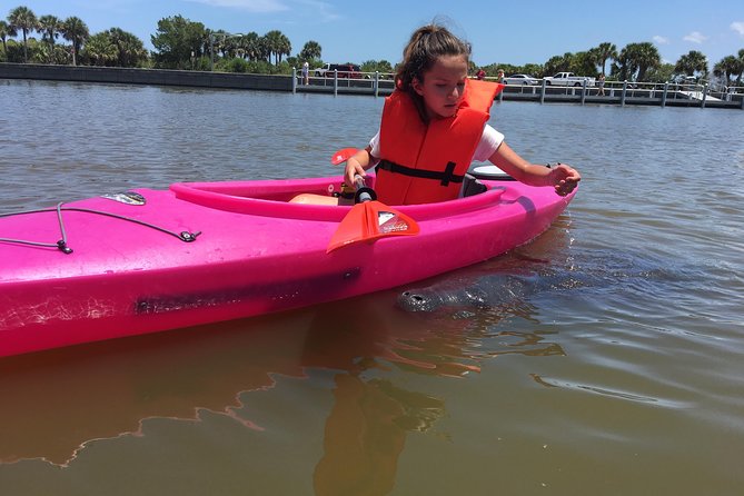 Dolphin & Manatee Kayaking Tour in Orlando Area - Guides who add more than directions
