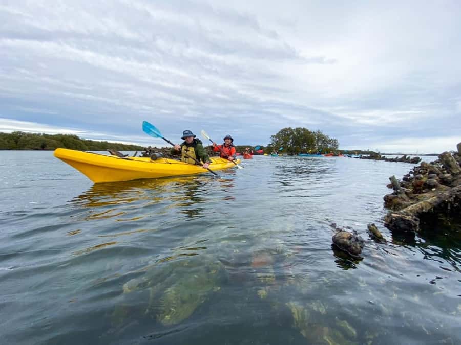 Dolphin Sanctuary and Ships Graveyard Kayak Tour - Who will enjoy this tour most