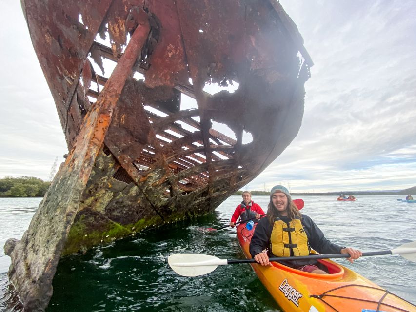 Dolphin Sanctuary and Ships Graveyard Kayak Tour - Exploring the Ships Graveyard