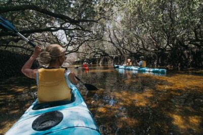 Dolphin Sanctuary Kayak Tour Adelaide