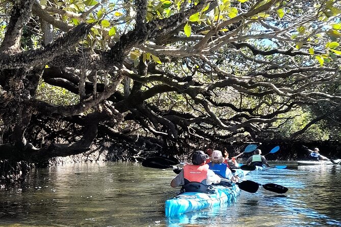 Dolphin Sanctuary Kayak Tour Adelaide - The guides and the feel of the group