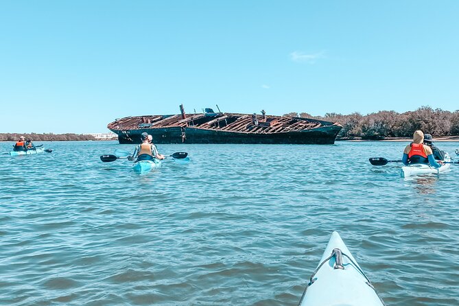 Dolphin Sanctuary Kayak Tour Adelaide - Who will enjoy this Adelaide outing?