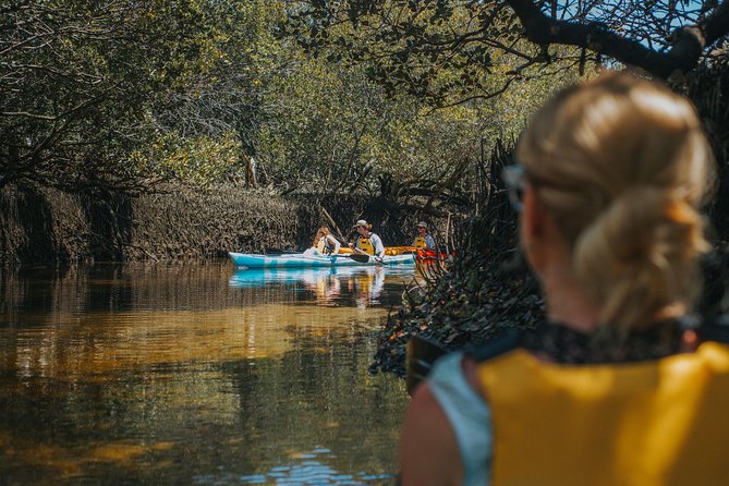 Dolphin Sanctuary Kayak Tour Adelaide - Should you book the Dolphin Sanctuary Kayak Tour?