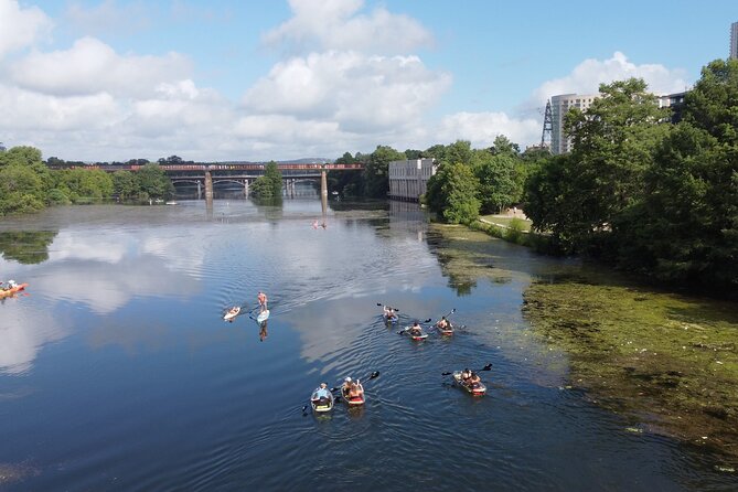 Downtown Austin Skyline Clear Kayak Tour at Lady Bird Lake - What the guides add to the outing