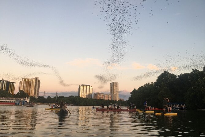 Downtown Austin Sunset Kayak Tour with 1.5 Million Bats - Key points to know before you book