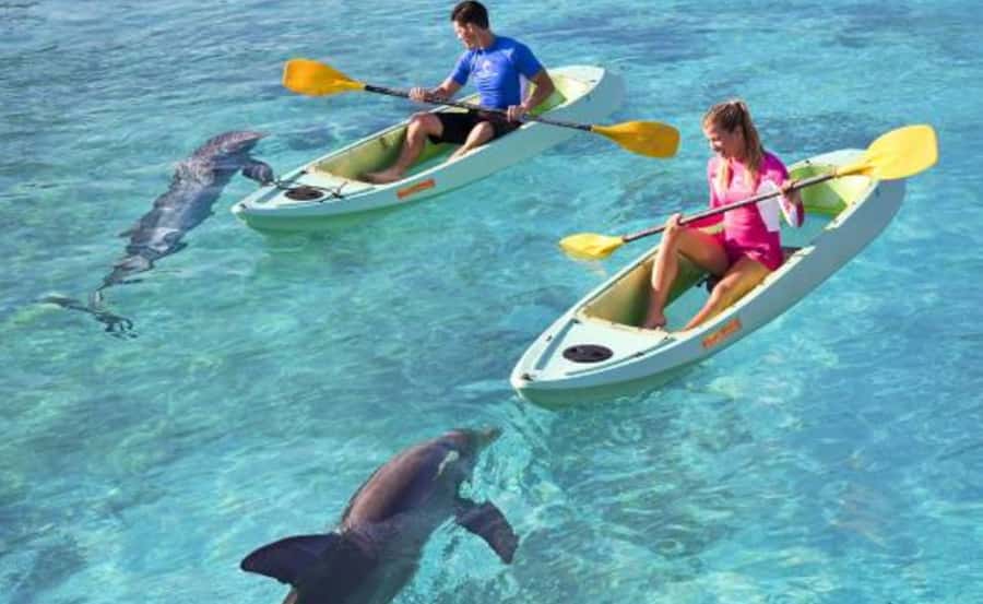 Dubai: Atlantis Dolphin Kayak Trip & Aquaventure Waterpark - Is the $135 price fair?