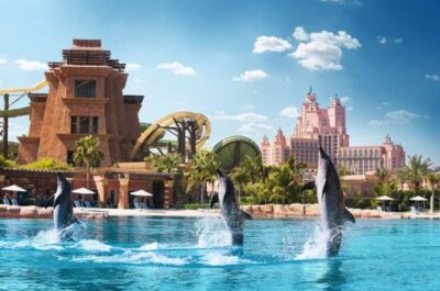Atlantis Dolphin Kayak Trip & Aquaventure Waterpark