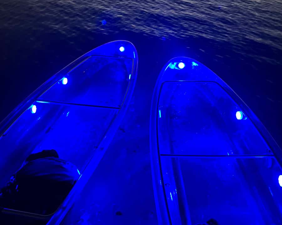 Dubai: Night Kayaking Tour - What the $112 price really buys you