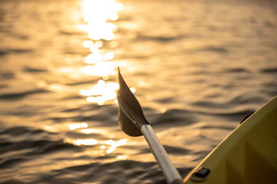 Dubai: Sunset/Night Dubai Creek Kayak Tour - Should you book this Dubai Creek kayak tour?