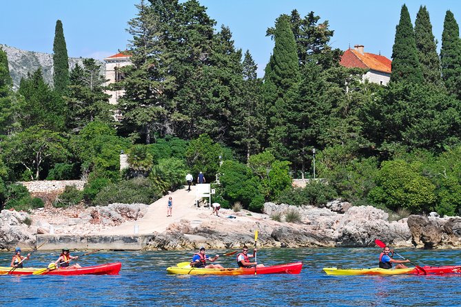 Dubrovnik: Sea Kayaking & Snorkeling Tour - The Return Beneath Dubrovnik’s Forts