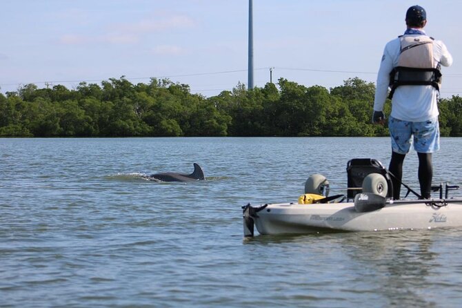 Easy Ride Pedal Kayak Tour Marco Island & Naples (Pedal or Paddle - What the two hours feel like